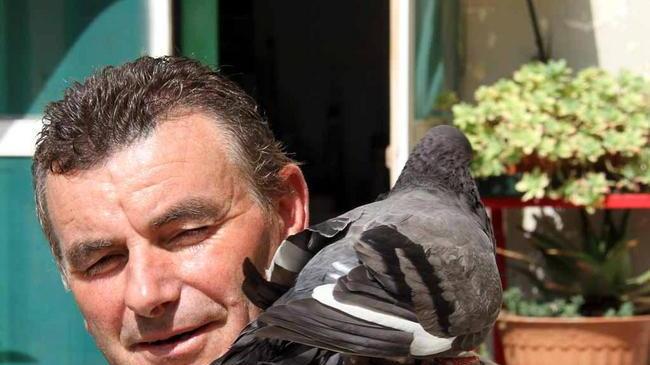 «Il mio Chicco è un piccione davvero intelligente»