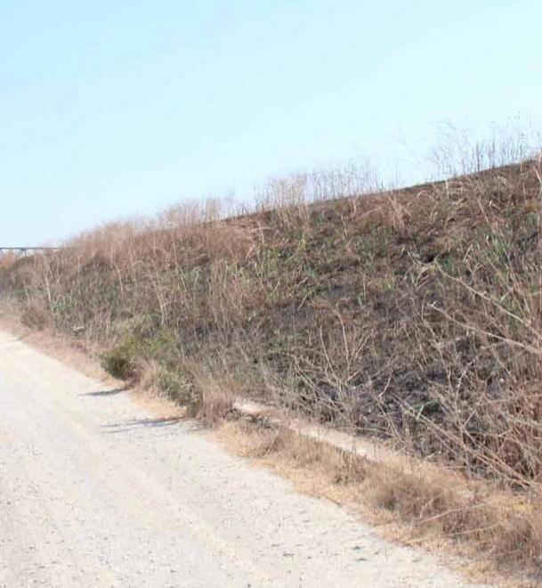 Rogo bis a Colle, ora è caccia al piromane 