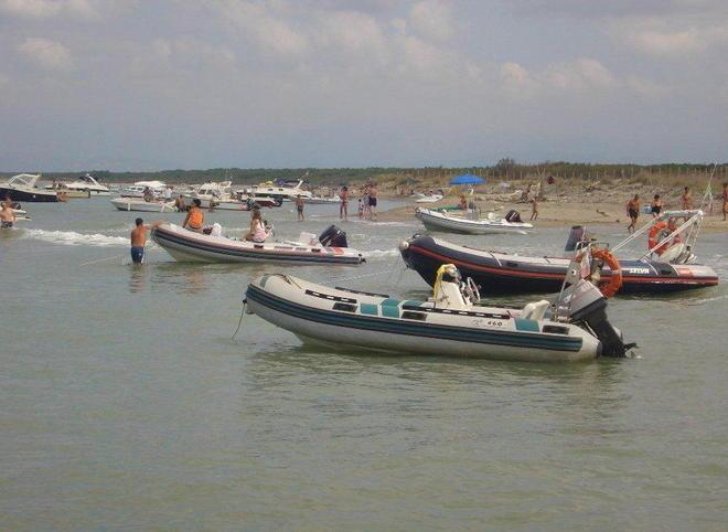 «Fermiamo i bracconieri del mare a San Rossore»