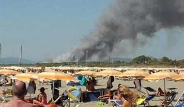 Un grosso incendio divora la pineta di Marina, paura per le case 