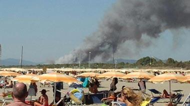 Un grosso incendio divora la pineta di Marina, paura per le case
