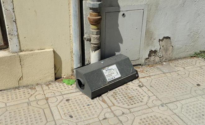 Allarme topi: il Comune mette le trappole in centro 