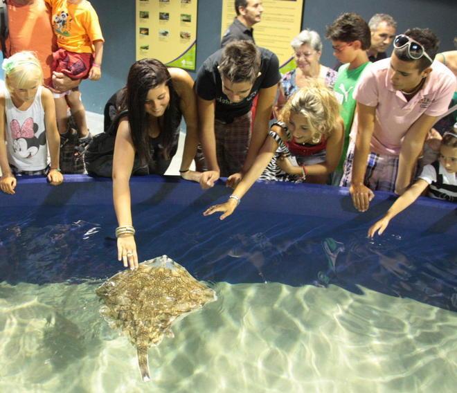 I bambini saharawi in visita all’acquario