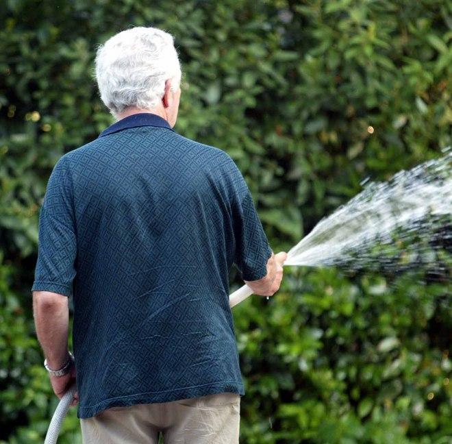 A Collesalvetti occhio alle multe è vietato annaffiare i giardini 