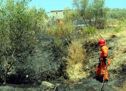 Paura a Caniparola di Fosdinovo Incendio minaccia abitazioni 
