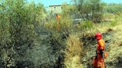 Paura a Caniparola di Fosdinovo Incendio minaccia abitazioni