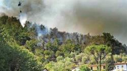Vasto incendio sulle colline sopra Bussotto, in azione tre elicotteri