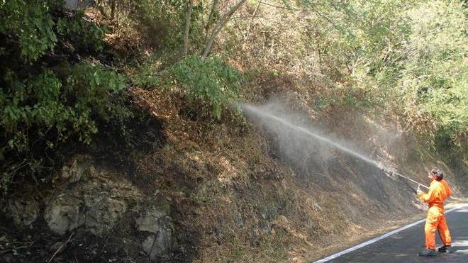 Nuovi incendi in Valdinievole