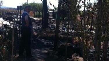 Conigli carbonizzati nel rogo di una baracca