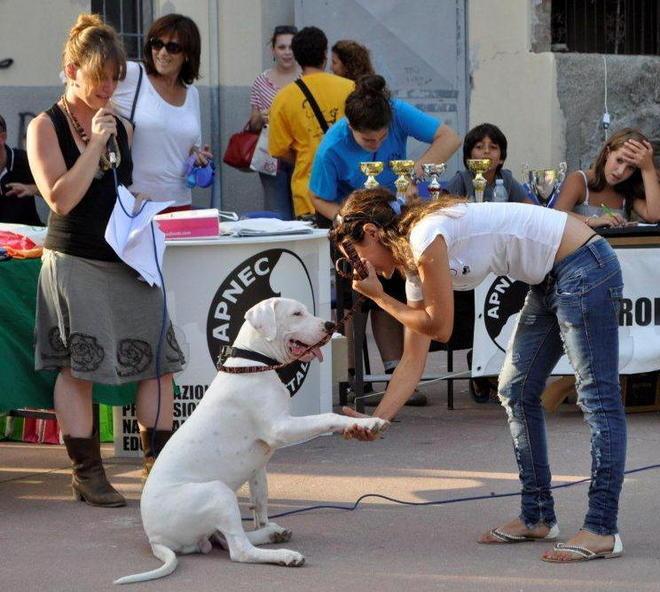 Bastardini in passerella e per tutti c’è un premio 