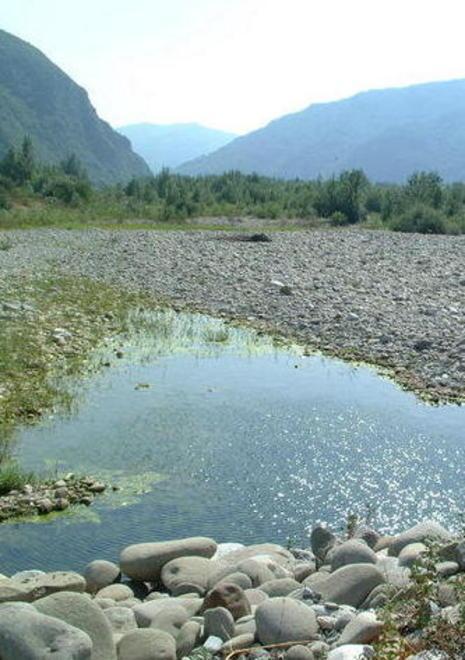 La siccità manda in crisi tutta l’agricoltura lucchese 