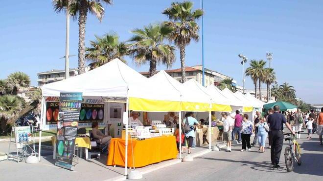 «Festival del folklore contro ogni regola»