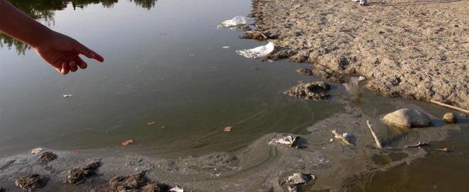 Pesci morti nel lago del parco di Serravalle 