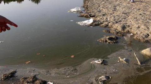 Pesci morti nel lago del parco di Serravalle