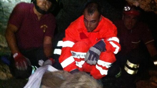Cane ferito intrappolato in una grotta, salvato dai vigili del fuoco 