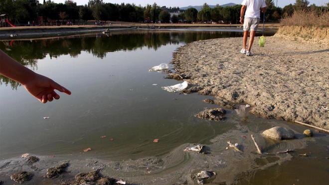 A rischio pesci e tartarughe del lago di Serravalle per la siccità
