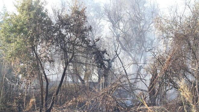 Fuoco a Vico, apprensione tra i residenti 