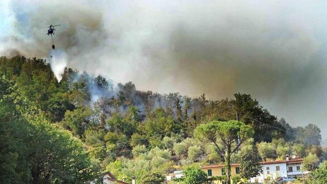 Incendio devasta quindici ettari di bosco