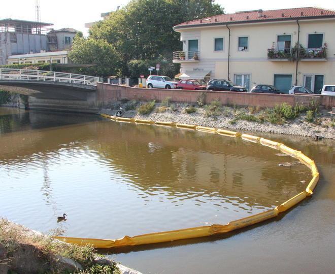 Morìa di pesci nel fosso dell’Abate «Colpa della siccità» 