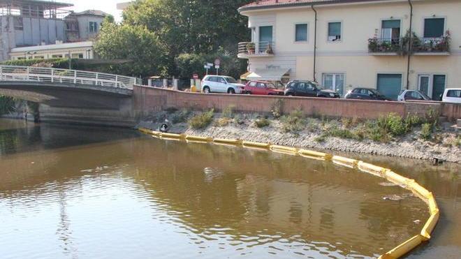Morìa di pesci nel fosso dell’Abate «Colpa della siccità»
