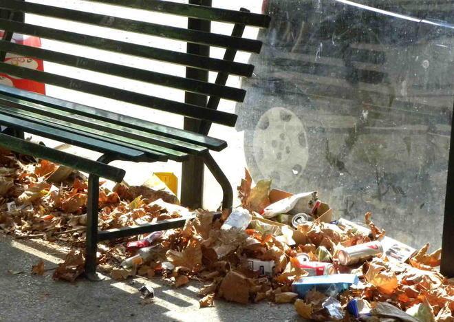 Sporcizia, foglie secche, erba e degrado