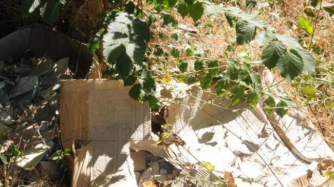 Nessuno rimuove la discarica in via della Repubblica