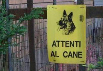 «Avvelenano i nostri cani per poterci rubare in casa» 