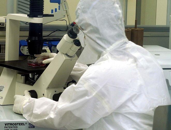 Shardna, indagini per falso in bilancio 