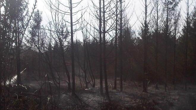 Cittadini aiutano i pompieri a spegnere il fuoco vicino a casa