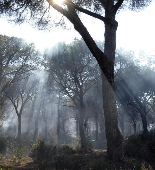 Un anello di idranti per spegnere gli incendi 