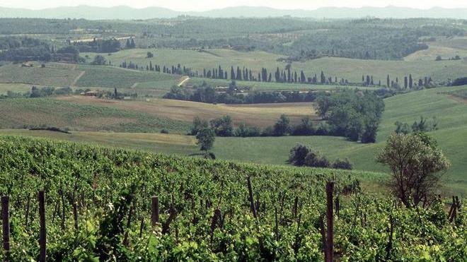 Siccità, autobotti in azione nelle colline della Valdelsa