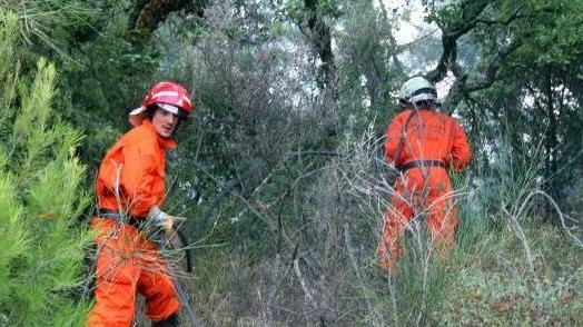 Bruciano ettari di bosco nel Compitese ad Aquilea, Monte S. Quirico e Borgo a Mozzano