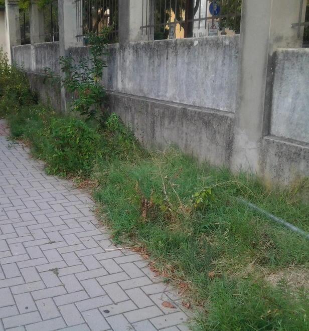 Parco giochi invaso dalle erbacce 