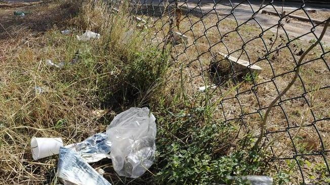 Emergenza topi e sporcizia «Comune e Coseca puliscano»