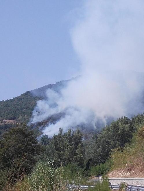 Incendio nei boschi di Reusa 