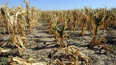 Campi e serre senz’acqua Danni per migliaia di euro