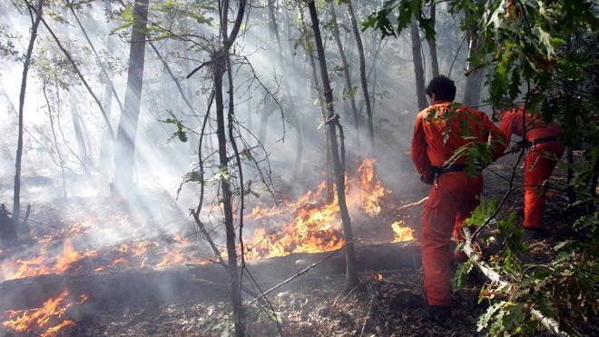 Rischio incendi, prorogato il divieto di bruciare le potature