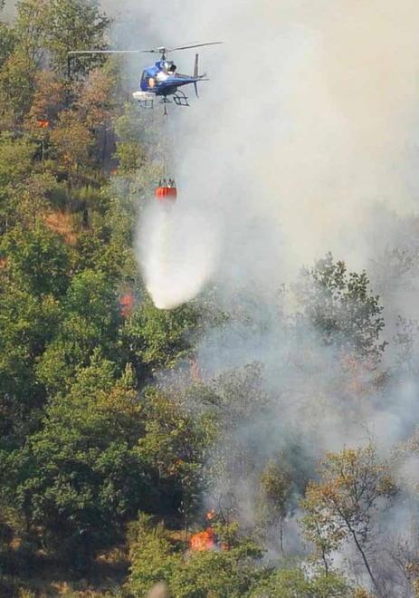 In fiamme sette ettari di bosco e pascolo 
