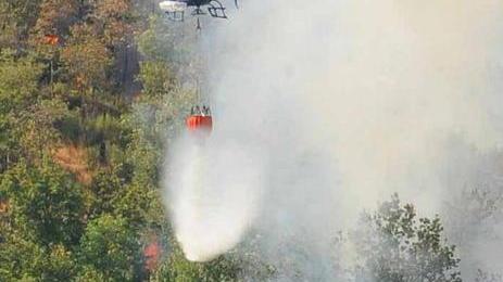 In fiamme sette ettari di bosco e pascolo