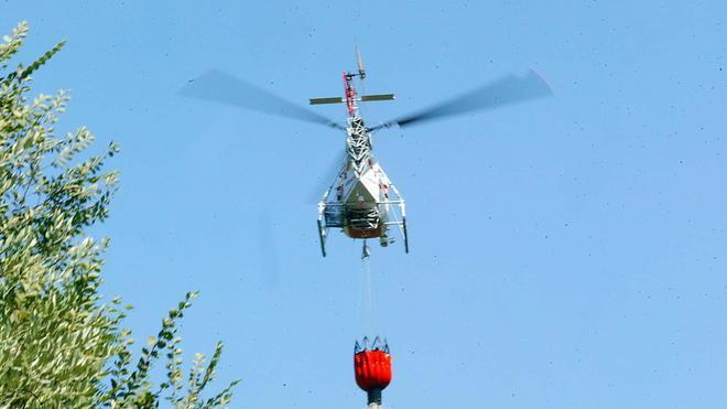 Incendio doloso nei boschi sopra Gombitelli