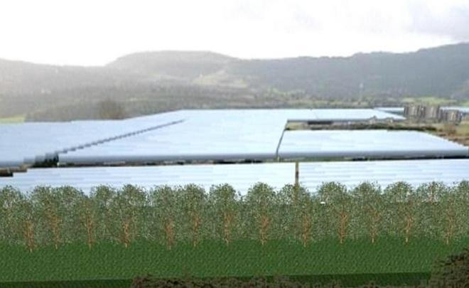 Gli ecologisti contro la centrale solare 