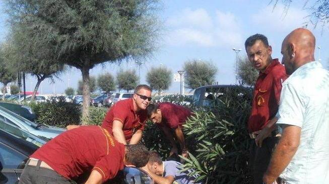 Difficile salvataggio e lieto fine per un micio nel motore di un’auto