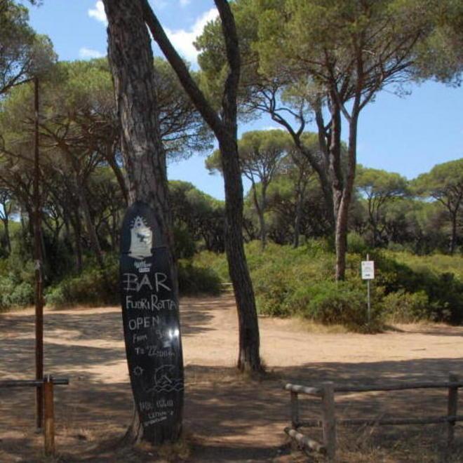 «Anche io dono cento piante a Marina Sono l’argomento vincente per il turismo»