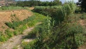 Il Consorzio insegue i ladri d’acqua