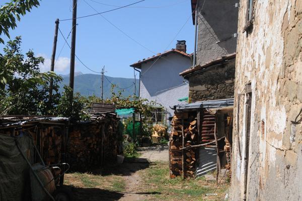 Uccide la madre a coltellate, poi si costituisce e tenta il suicidio con un taglio alla gola