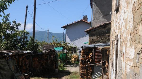 Uccide la madre a coltellate, poi si costituisce e tenta il suicidio con un taglio alla gola