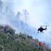  Ripartito l’incendio di Vizzaneta In azione le squadre di contenimento 