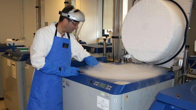 Da Pisa al Brasile un cordone ombelicale contro la leucemia