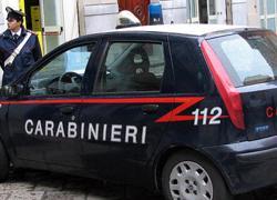 Olivi devastati dalle fiamme per due mozziconi di sigaretta 