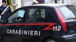 Olivi devastati dalle fiamme per due mozziconi di sigaretta